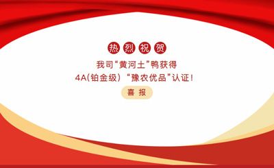 【喜報】—我司黃河土鴨獲4A(鉑金級）“豫農優(yōu)品”認證！